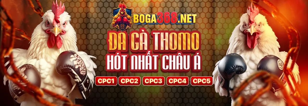 Đá Gà trực tuyến slot365 các trận đấu kịch tính